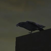 Raven Animated model for FPS Games