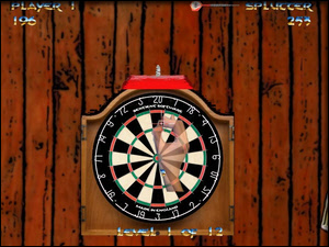 Competition 2nd place - World Championship Darts