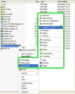 Tortoise SVN interface