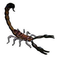 Scorpion Enemy