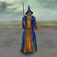 TGS_Wizard