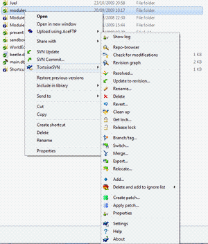 SVN Repository Interface