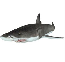 Shark FPSC Character
